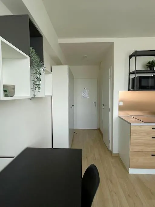 Modern Apartment 프라하