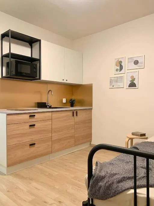 Modern Apartment 프라하